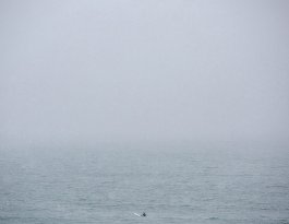 MARZENA SKUBATZ PHOTOGRAPHY