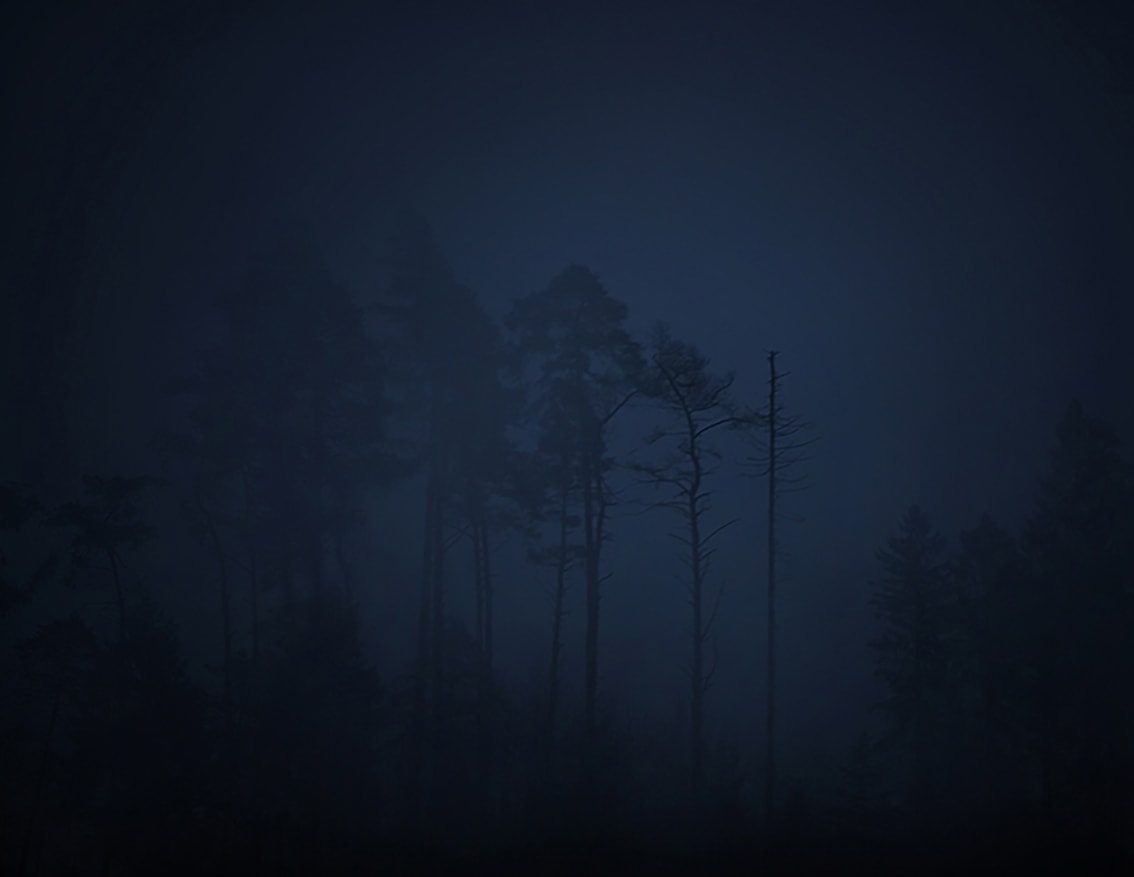 © 2005-future by Marzena Skubatz.All rights reserved. 