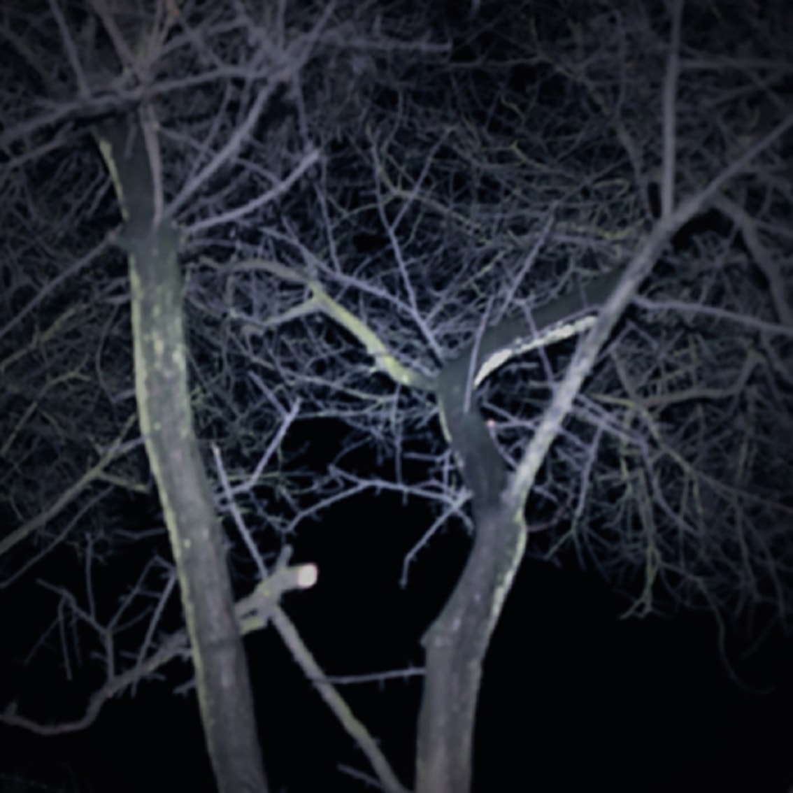 © 2005-future by Marzena Skubatz.All rights reserved. 