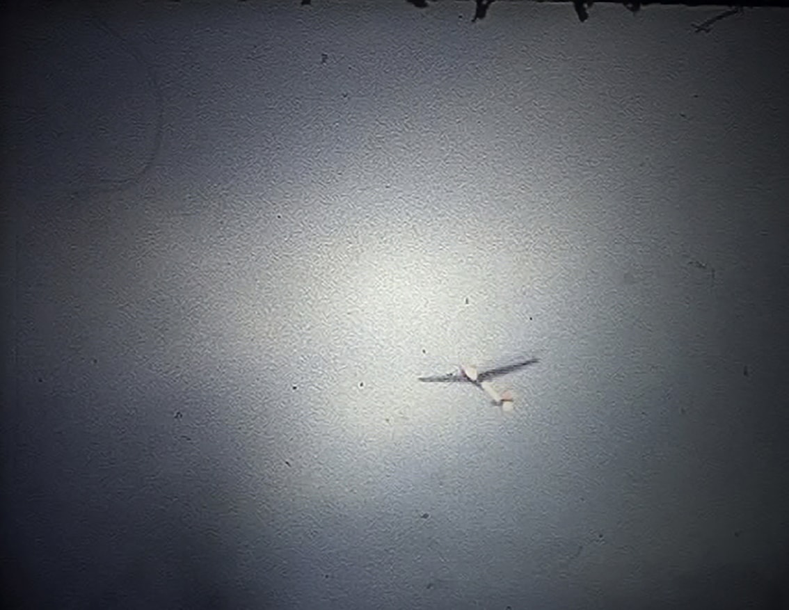 © 2005-future by Marzena Skubatz.All rights reserved. 