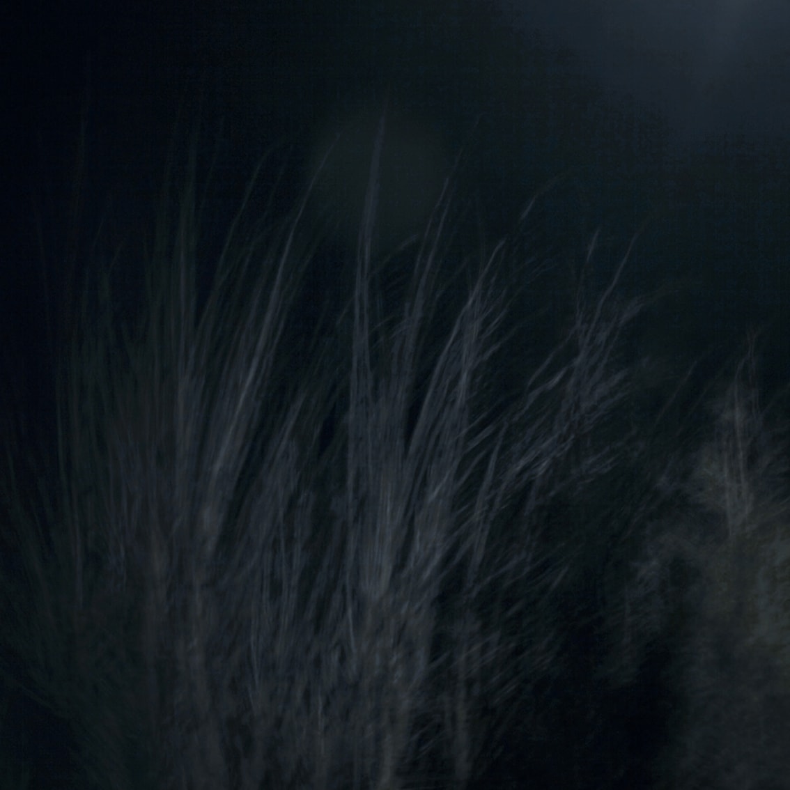 © 2005-future by Marzena Skubatz.All rights reserved. 