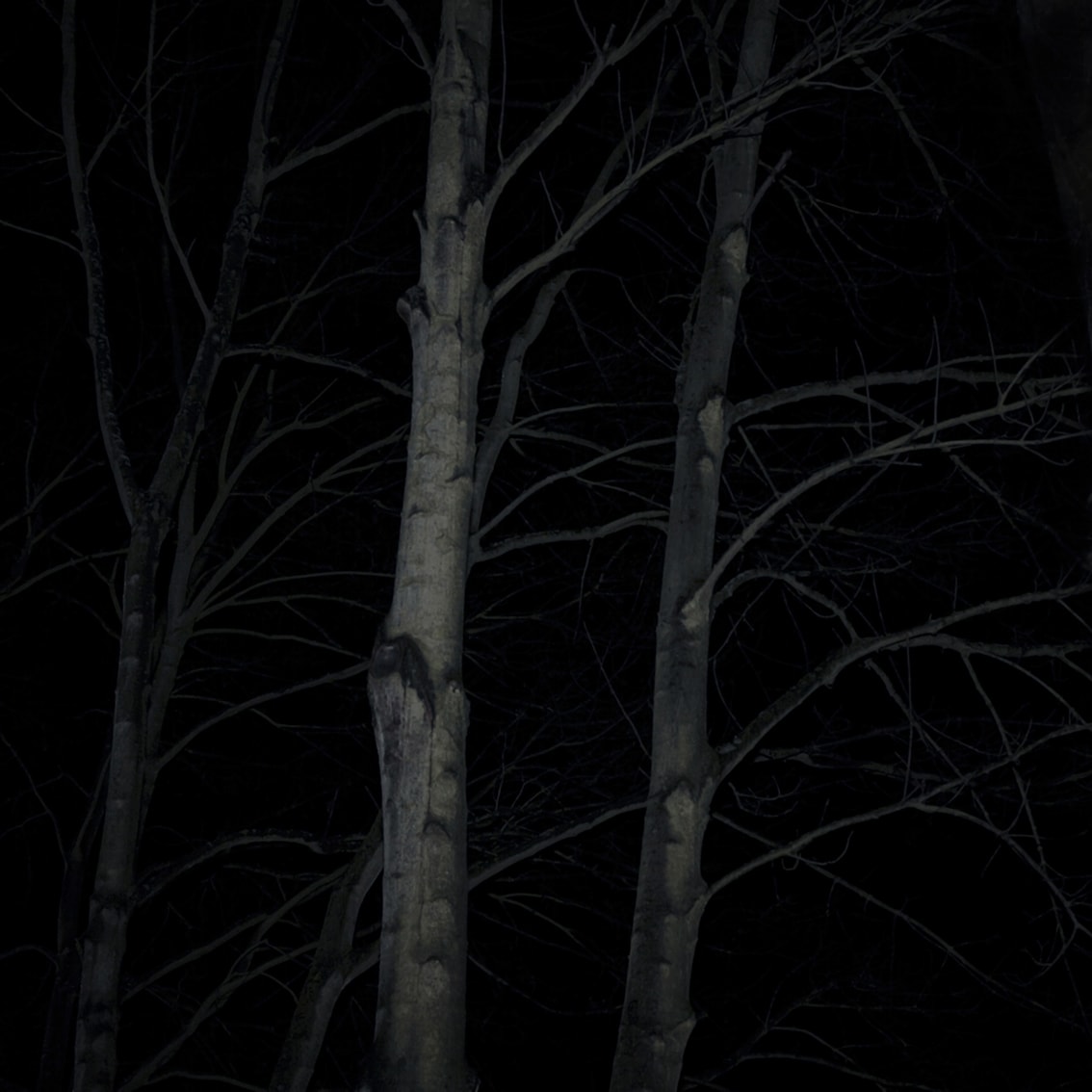 © 2005-future by Marzena Skubatz.All rights reserved. 