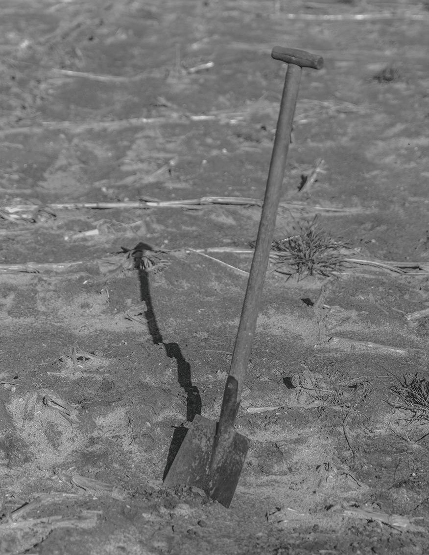 MARZENA SKUBATZ PHOTOGRAPHY