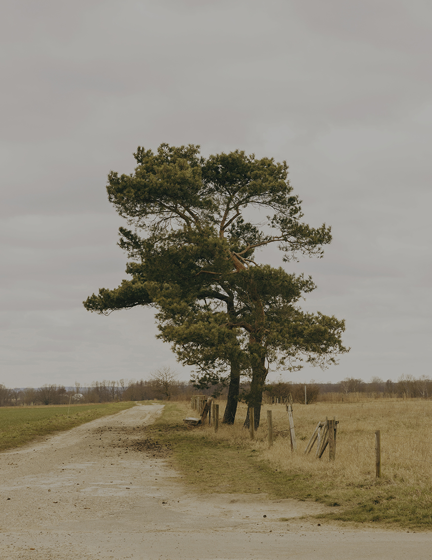 MARZENA SKUBATZ PHOTOGRAPHY