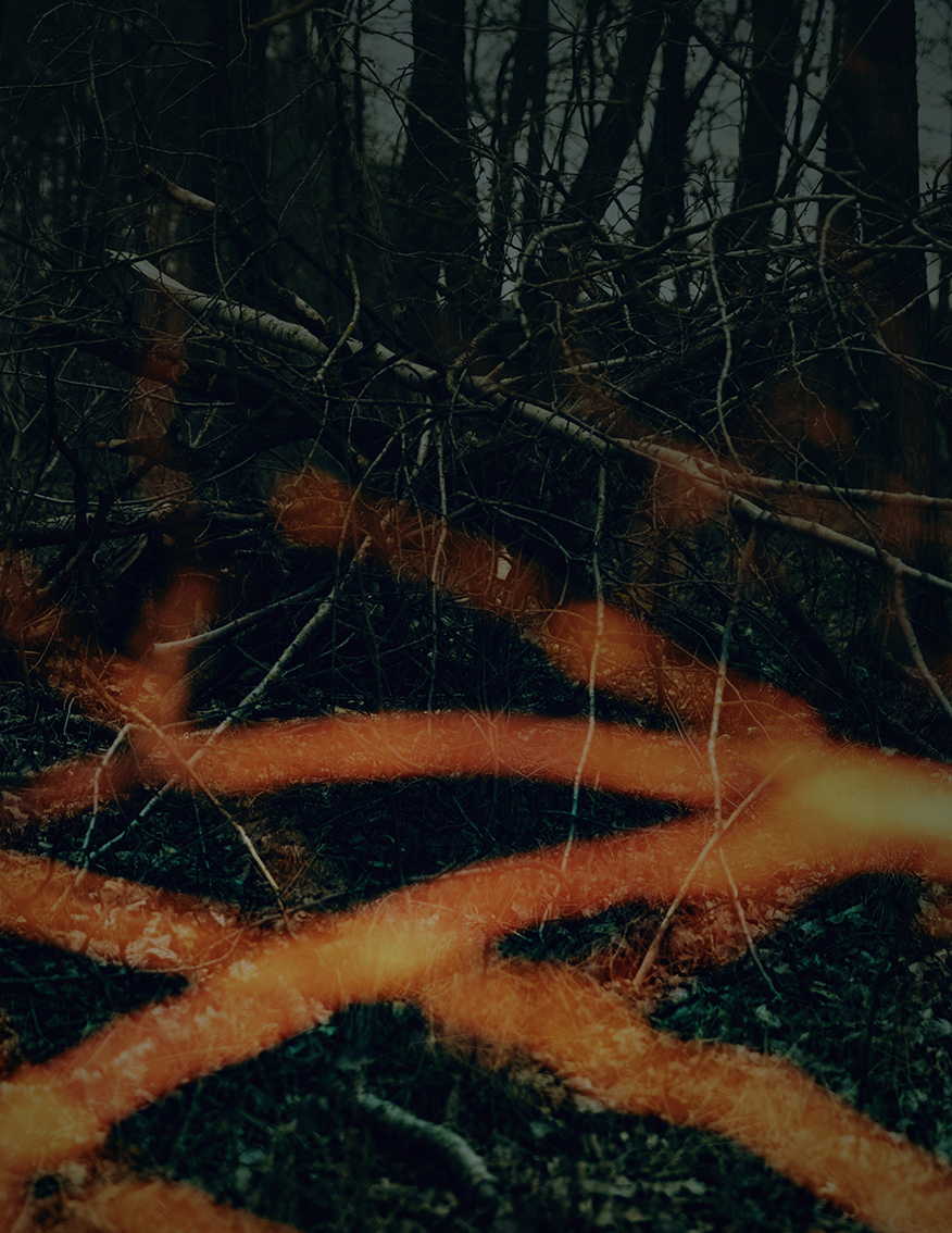 MARZENA SKUBATZ PHOTOGRAPHY