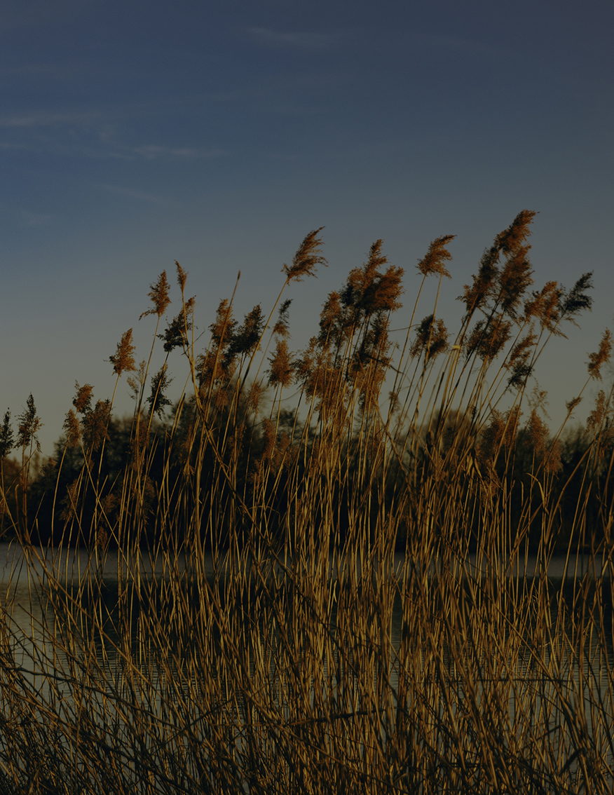 MARZENA SKUBATZ PHOTOGRAPHY