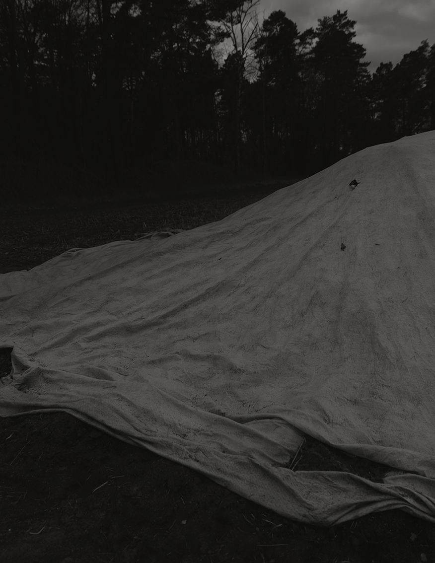 MARZENA SKUBATZ PHOTOGRAPHY