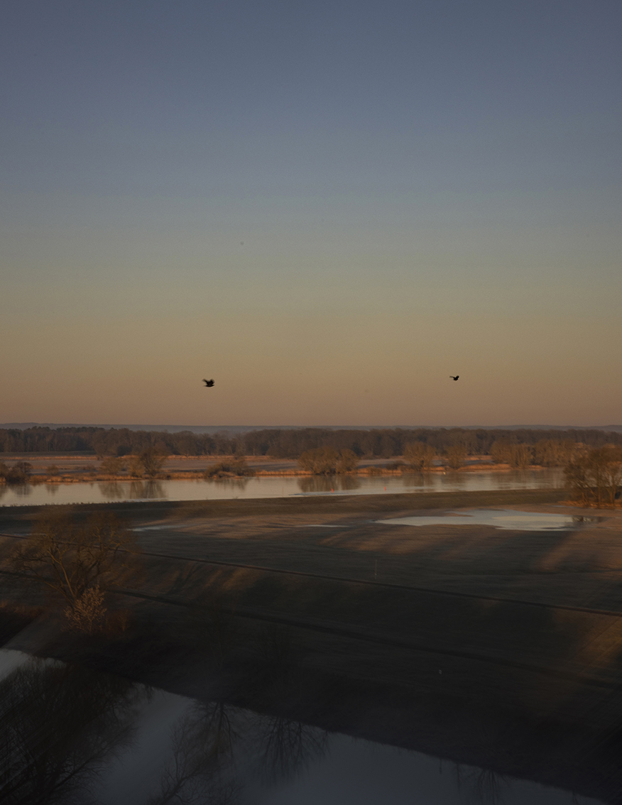 MARZENA SKUBATZ PHOTOGRAPHY