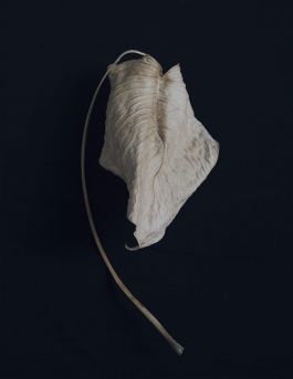 MARZENA SKUBATZ PHOTOGRAPHY