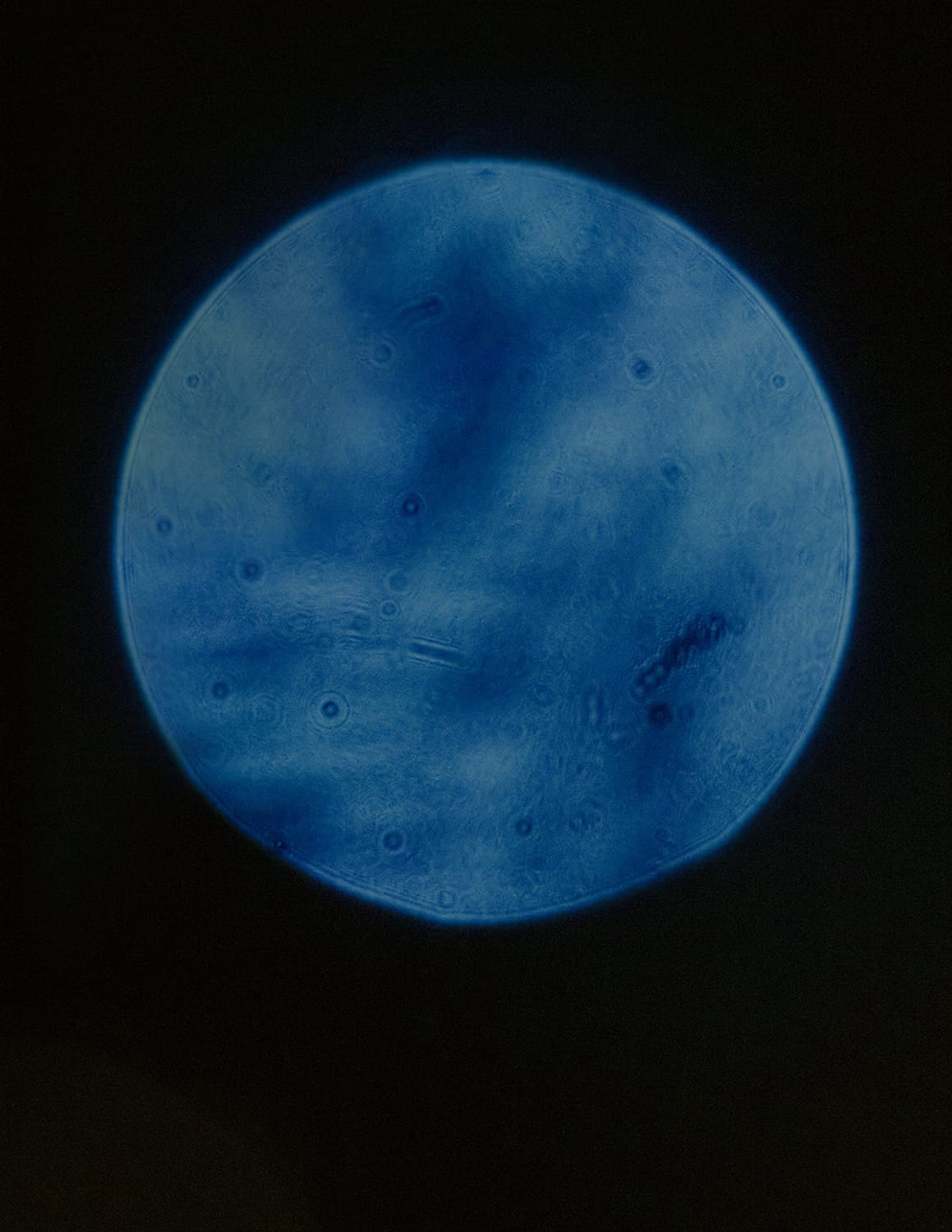 MARZENA SKUBATZ PHOTOGRAPHY