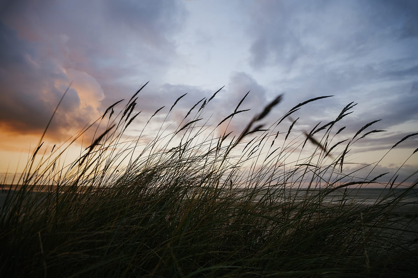 MARZENA SKUBATZ PHOTOGRAPHY