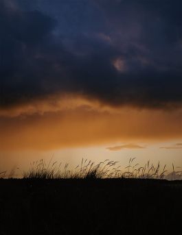 MARZENA SKUBATZ PHOTOGRAPHY