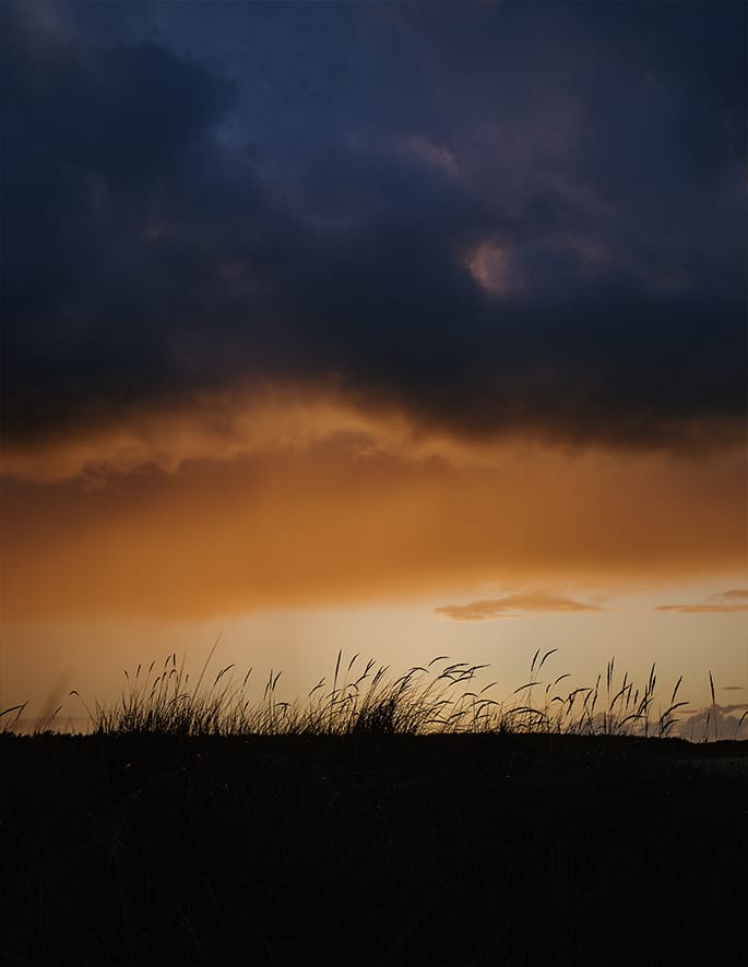 MARZENA SKUBATZ PHOTOGRAPHY