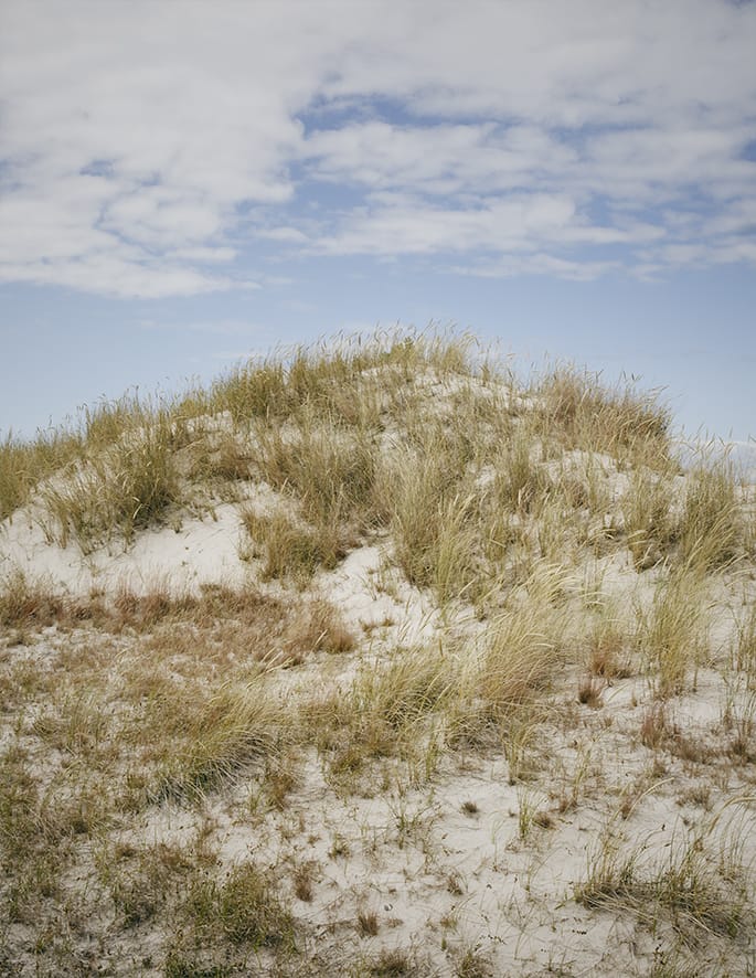 MARZENA SKUBATZ PHOTOGRAPHY