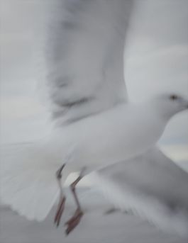 MARZENA SKUBATZ PHOTOGRAPHY