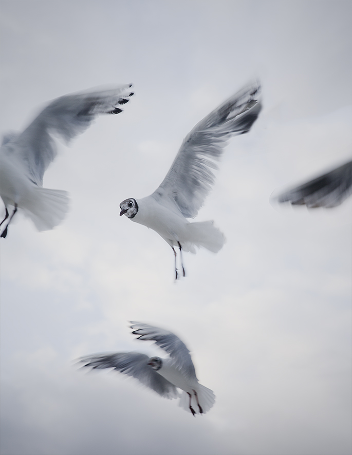 MARZENA SKUBATZ PHOTOGRAPHY