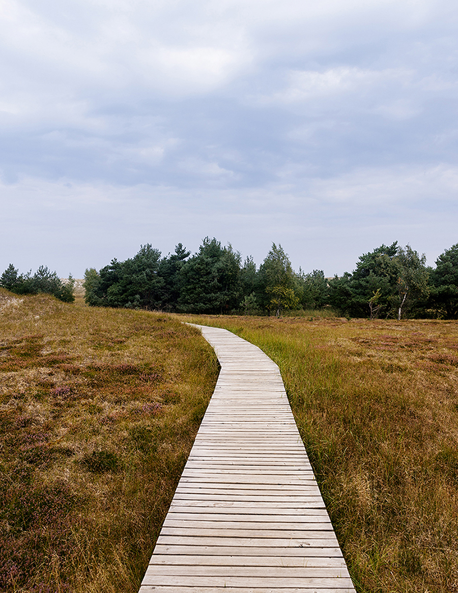 MARZENA SKUBATZ PHOTOGRAPHY