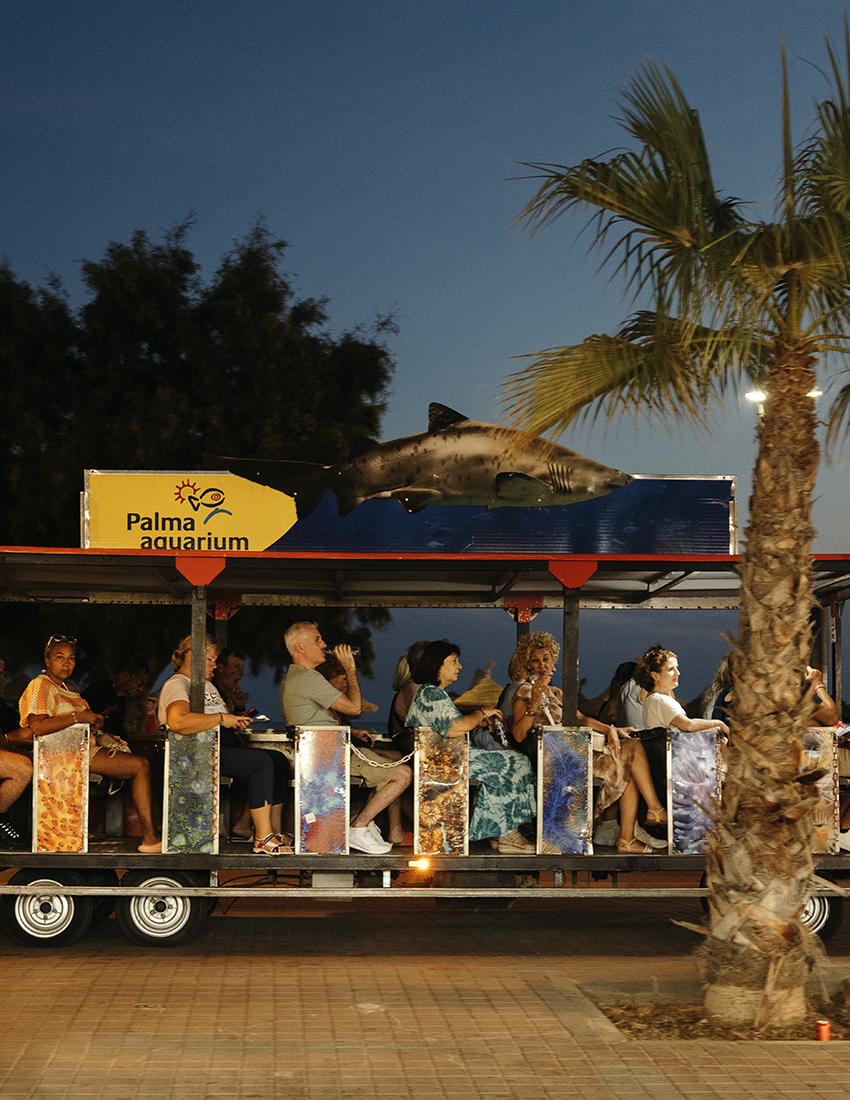 MARZENA SKUBATZ PHOTOGRAPHY