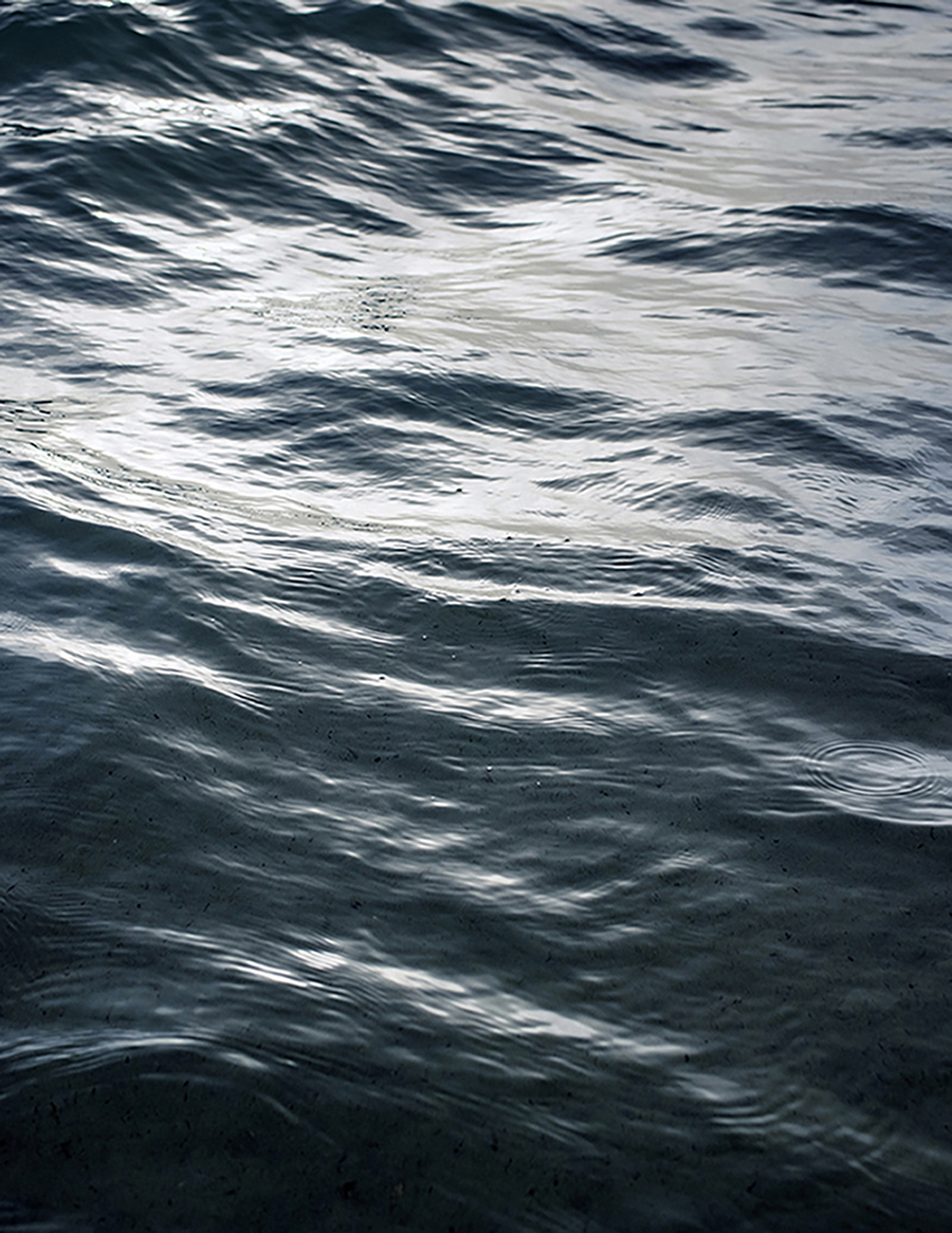 MARZENA SKUBATZ PHOTOGRAPHY