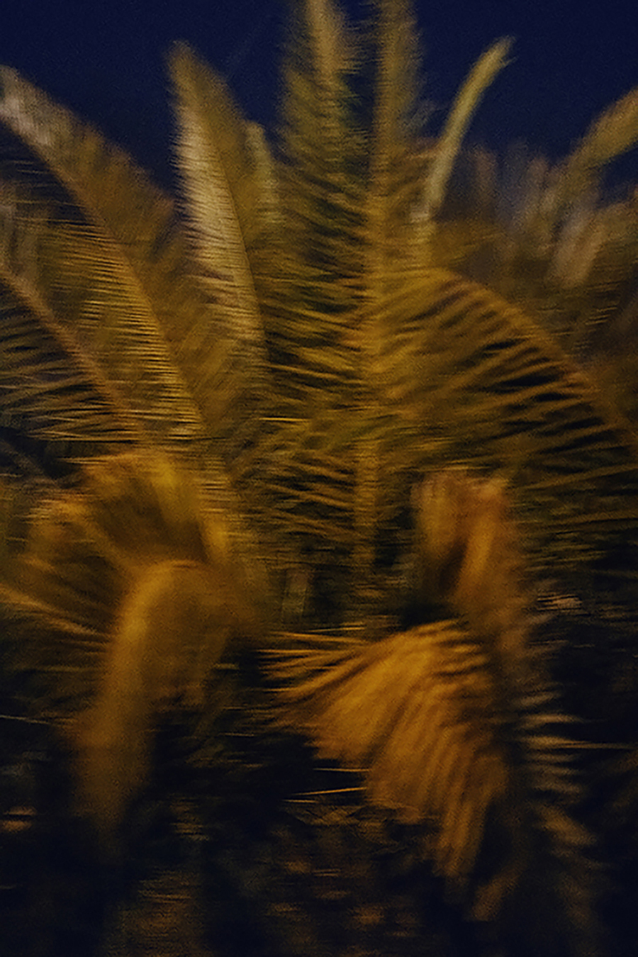 MARZENA SKUBATZ PHOTOGRAPHY