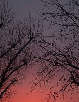 MARZENA SKUBATZ PHOTOGRAPHY