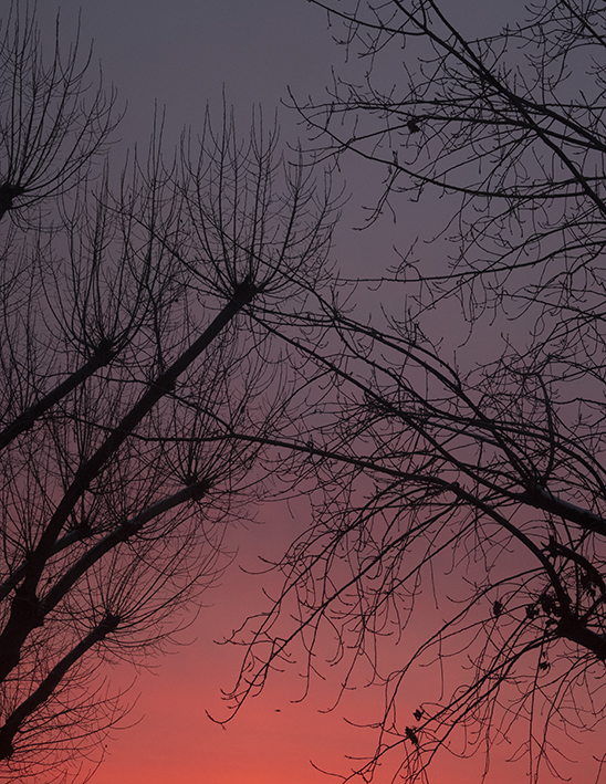 MARZENA SKUBATZ PHOTOGRAPHY