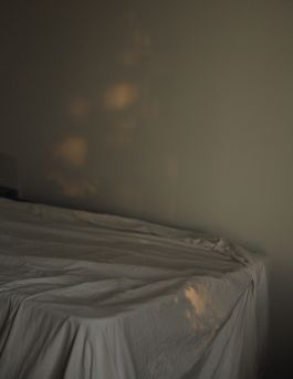 cocoon 