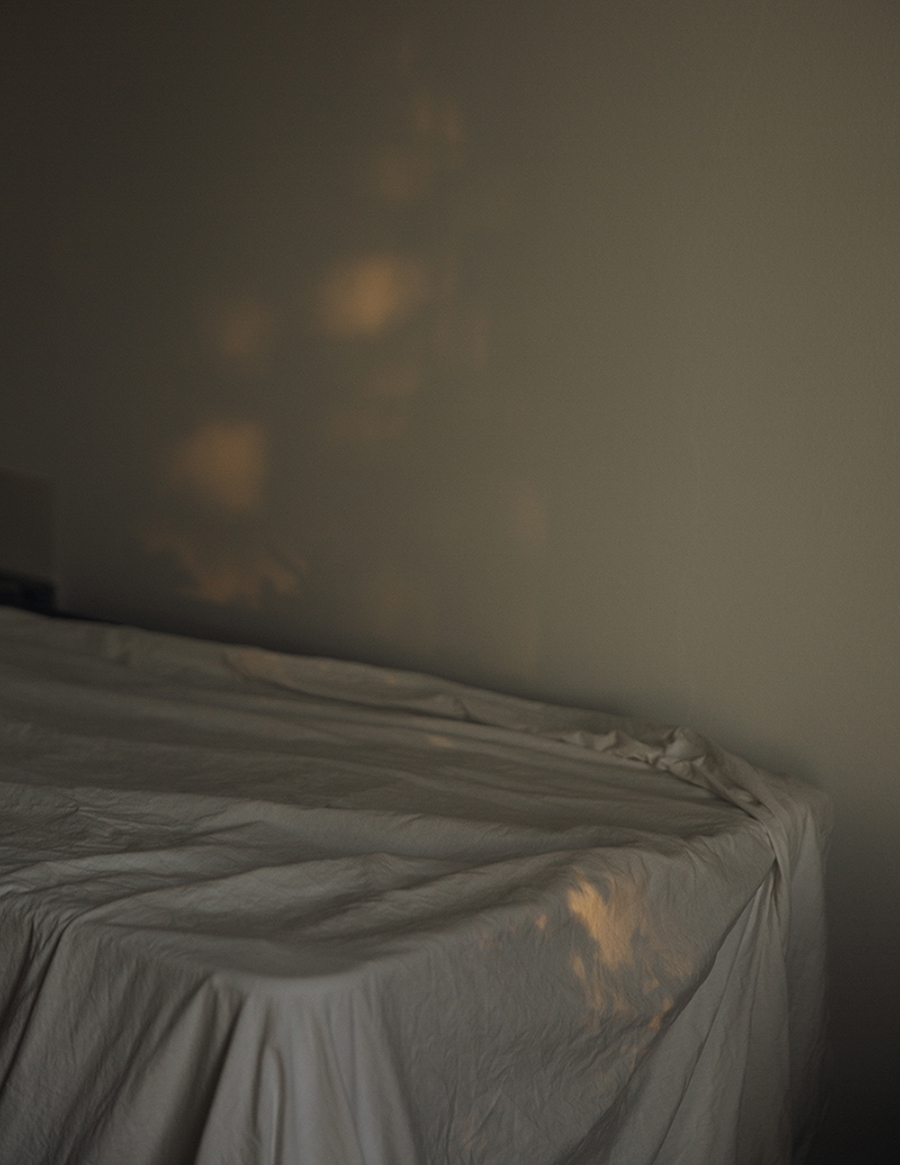 cocoon