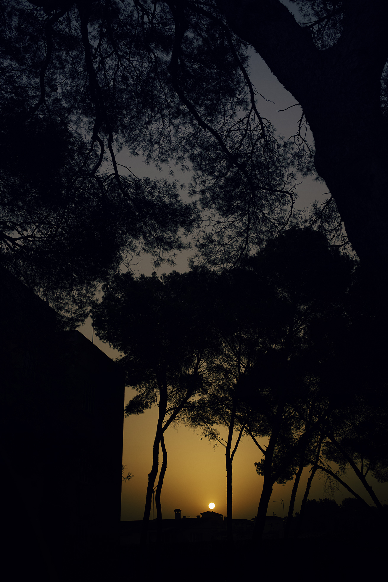 MARZENA SKUBATZ PHOTOGRAPHY