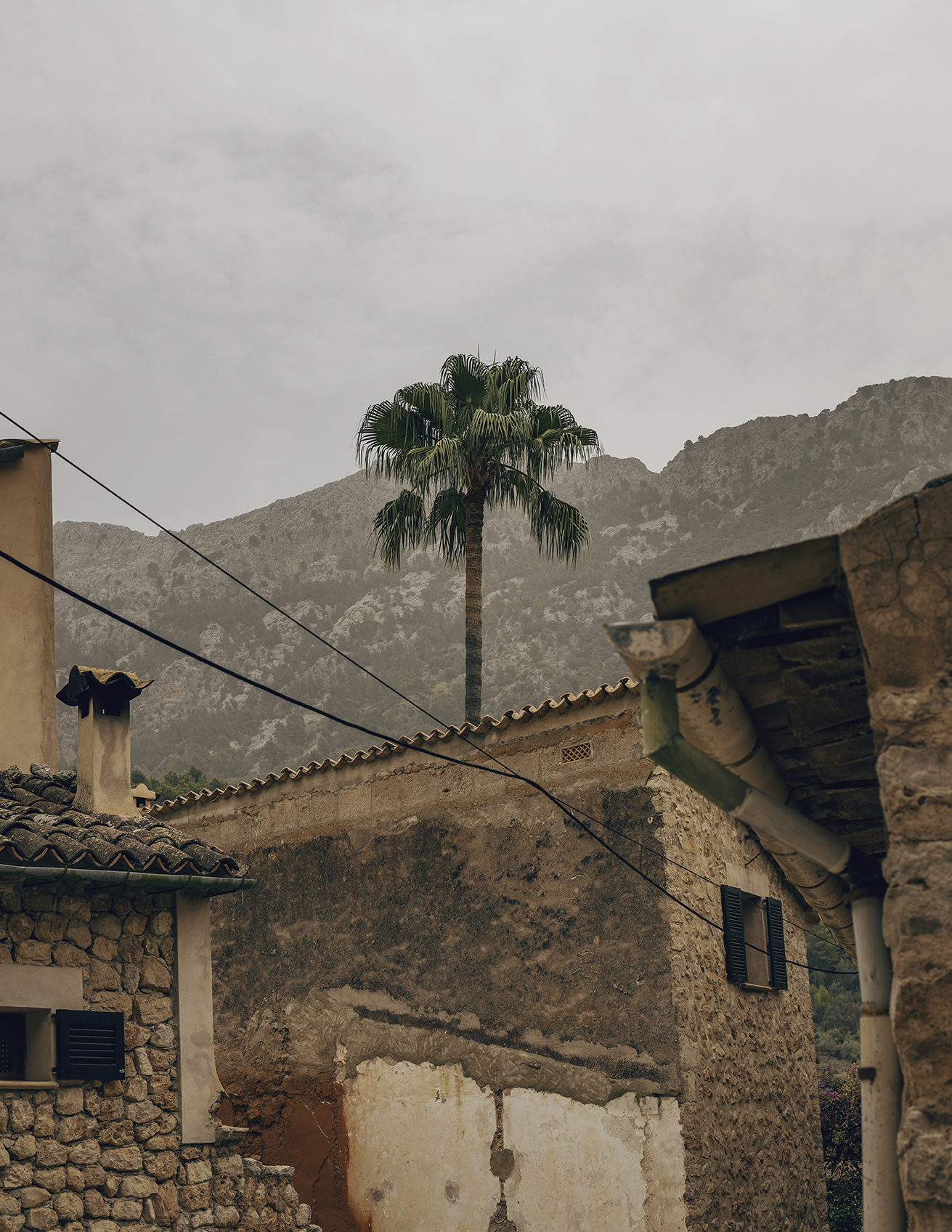 MARZENA SKUBATZ PHOTOGRAPHY