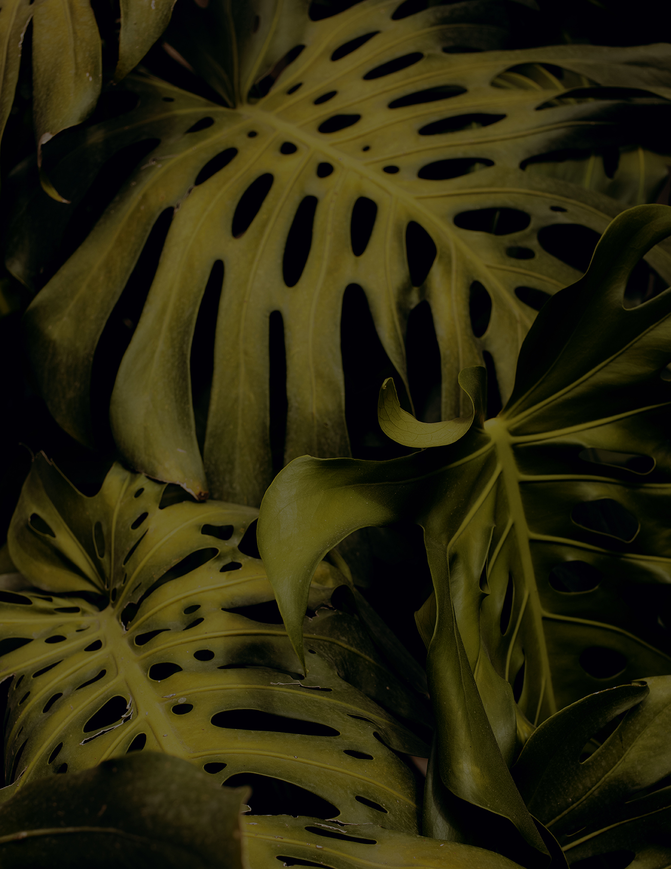 MARZENA SKUBATZ PHOTOGRAPHY