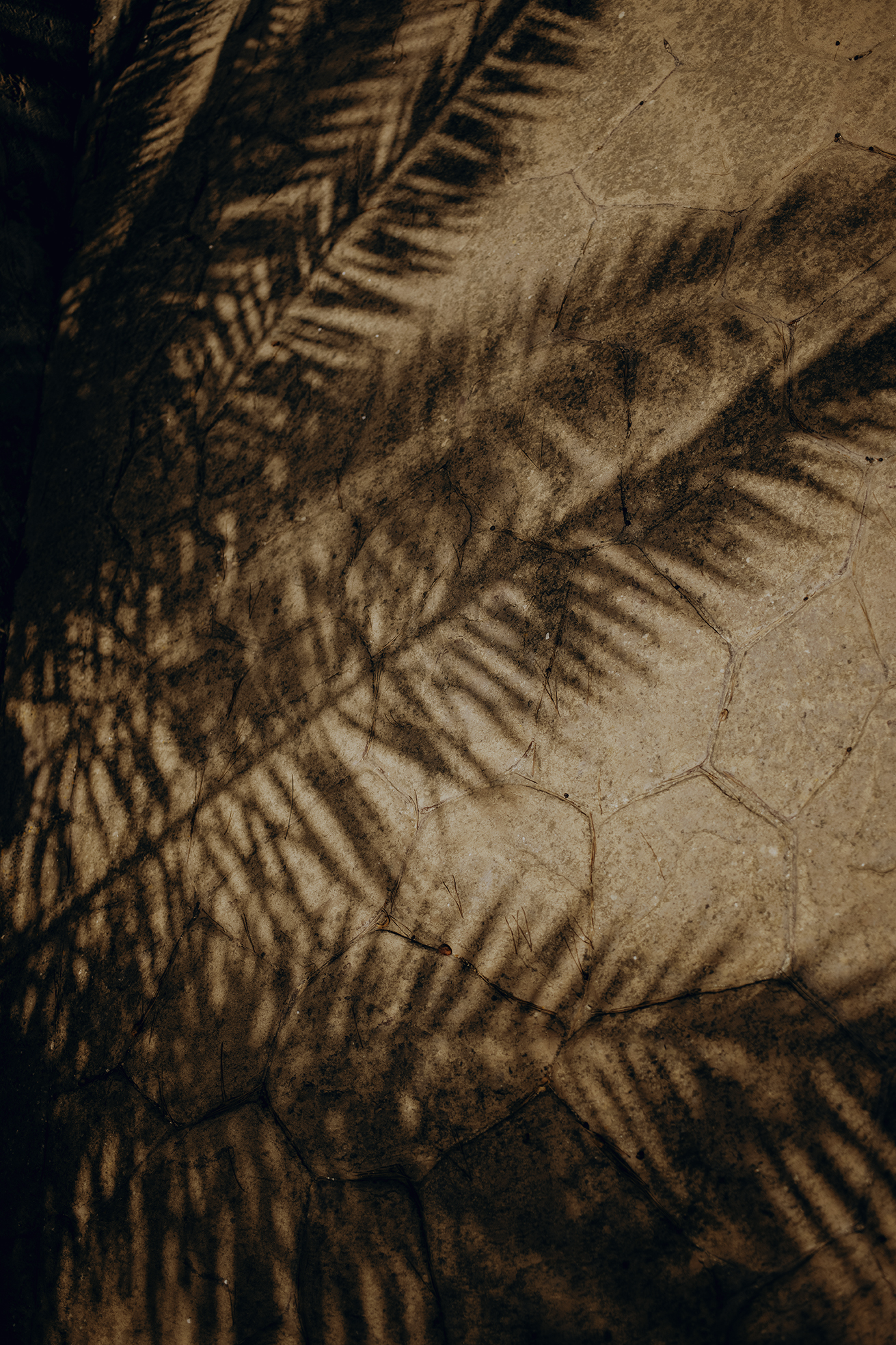 MARZENA SKUBATZ PHOTOGRAPHY