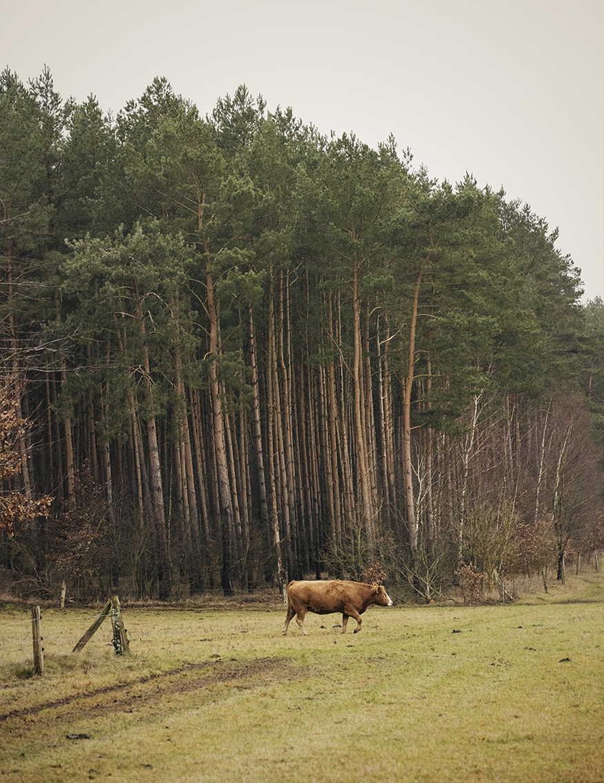 MARZENA SKUBATZ PHOTOGRAPHY