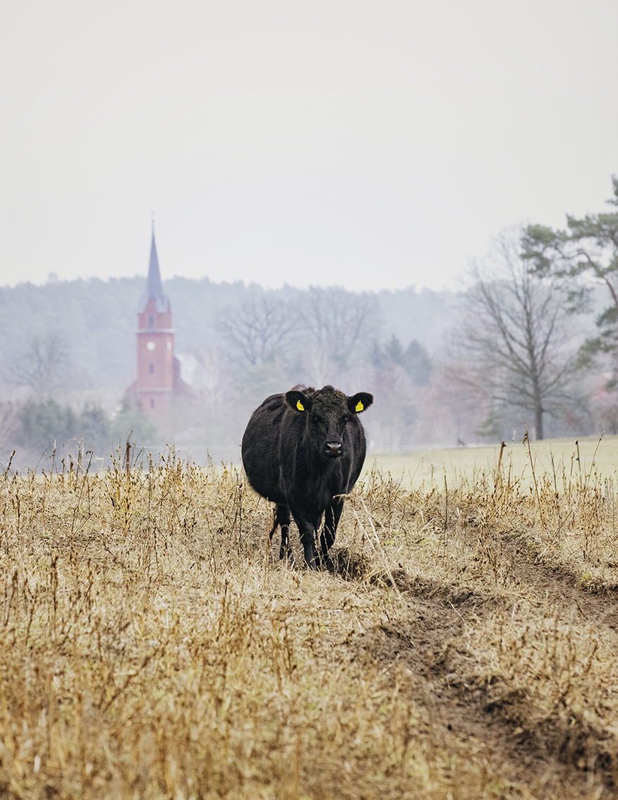 MARZENA SKUBATZ PHOTOGRAPHY