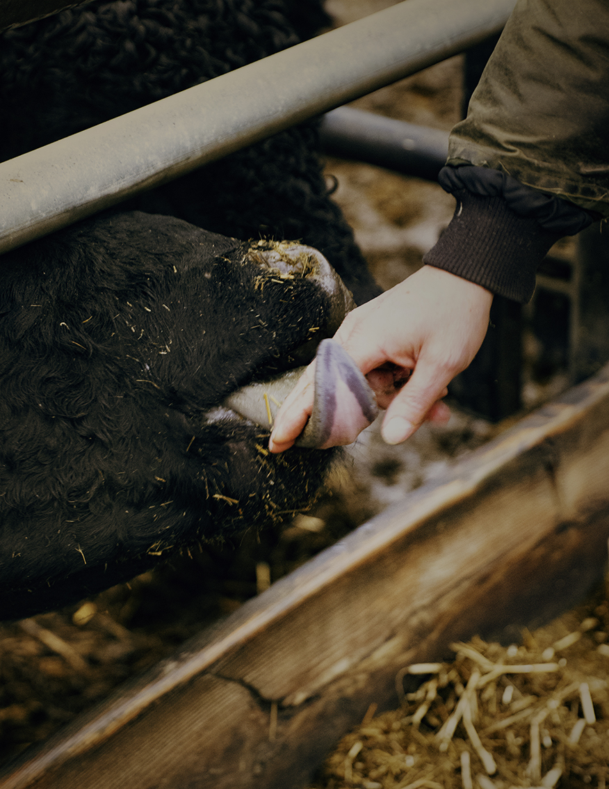 MARZENA SKUBATZ PHOTOGRAPHY