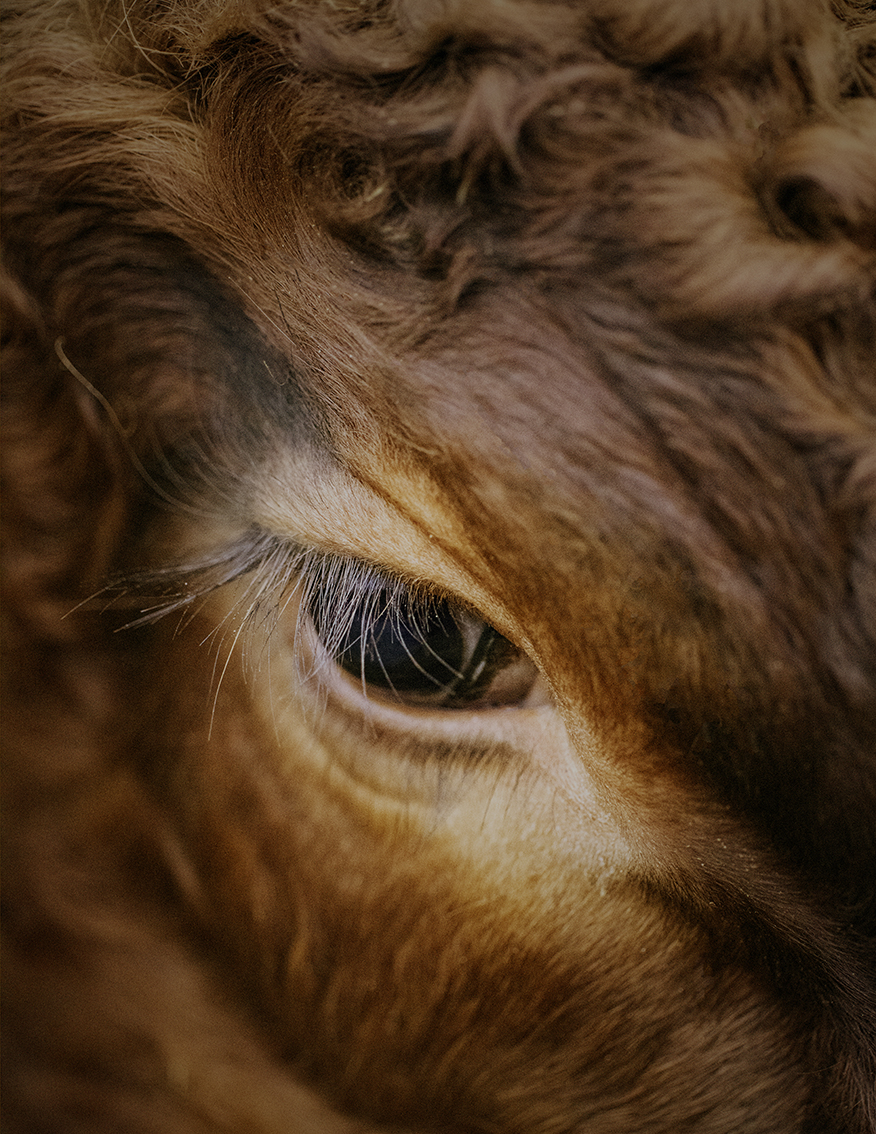 MARZENA SKUBATZ PHOTOGRAPHY