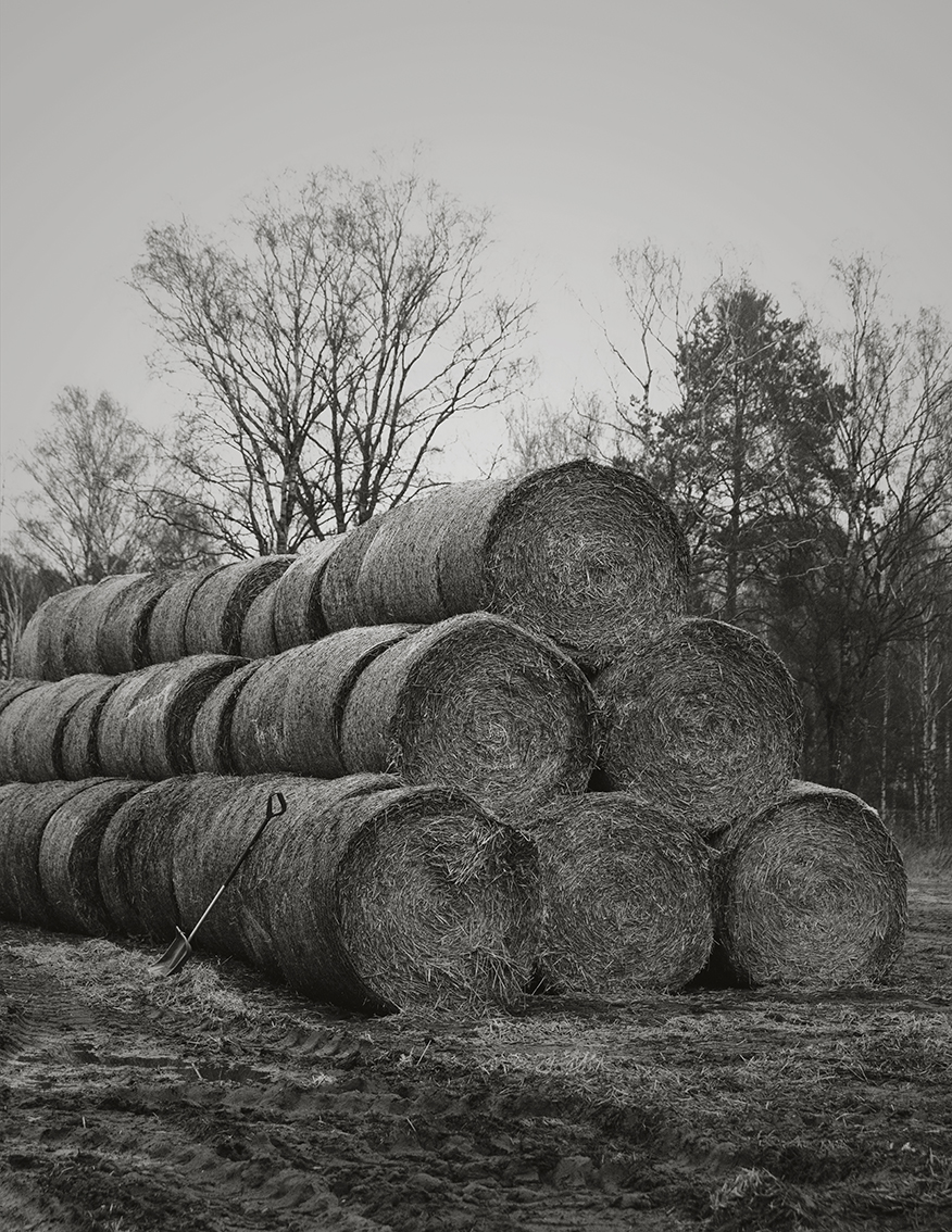 MARZENA SKUBATZ PHOTOGRAPHY