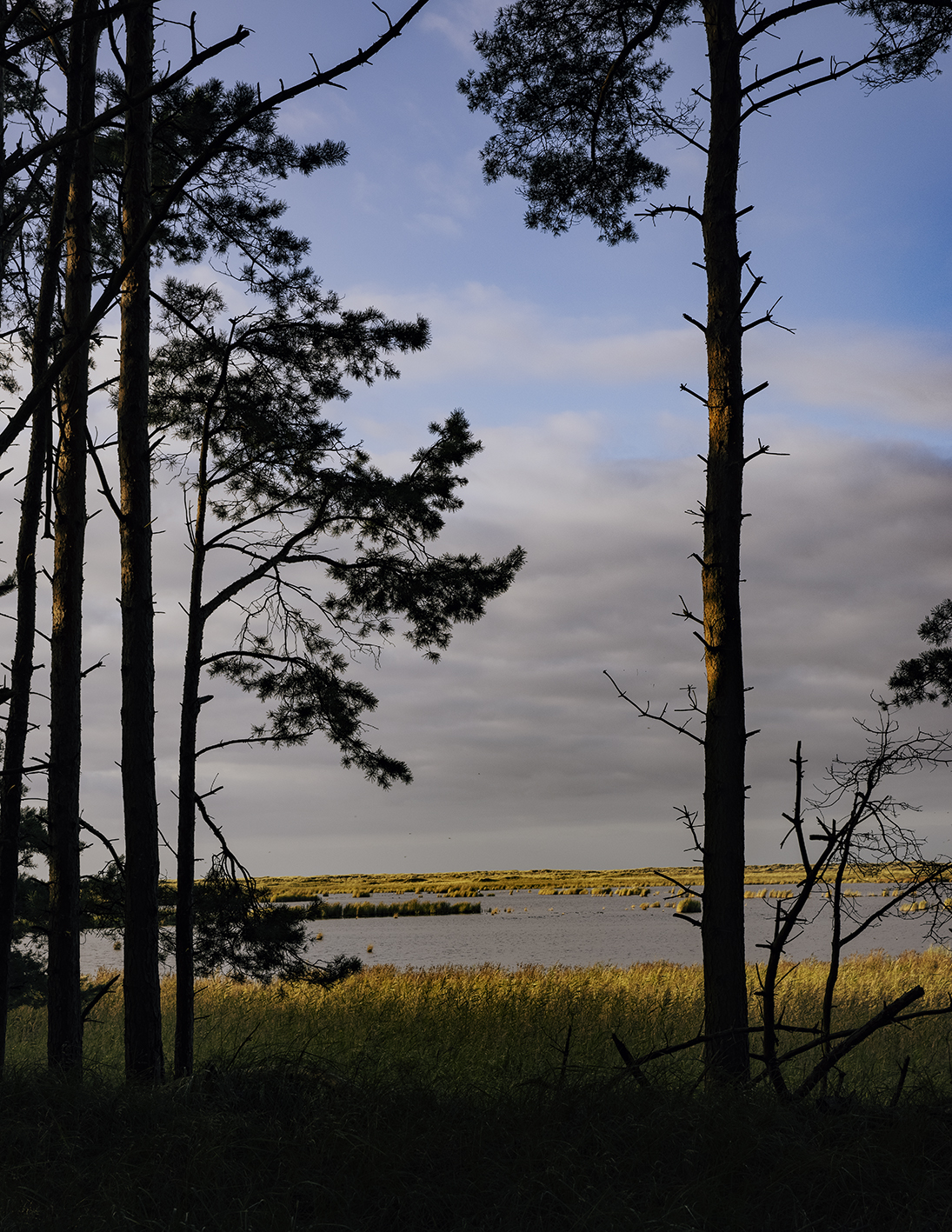 MARZENA SKUBATZ PHOTOGRAPHY