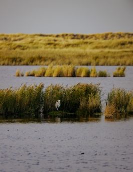 MARZENA SKUBATZ PHOTOGRAPHY
