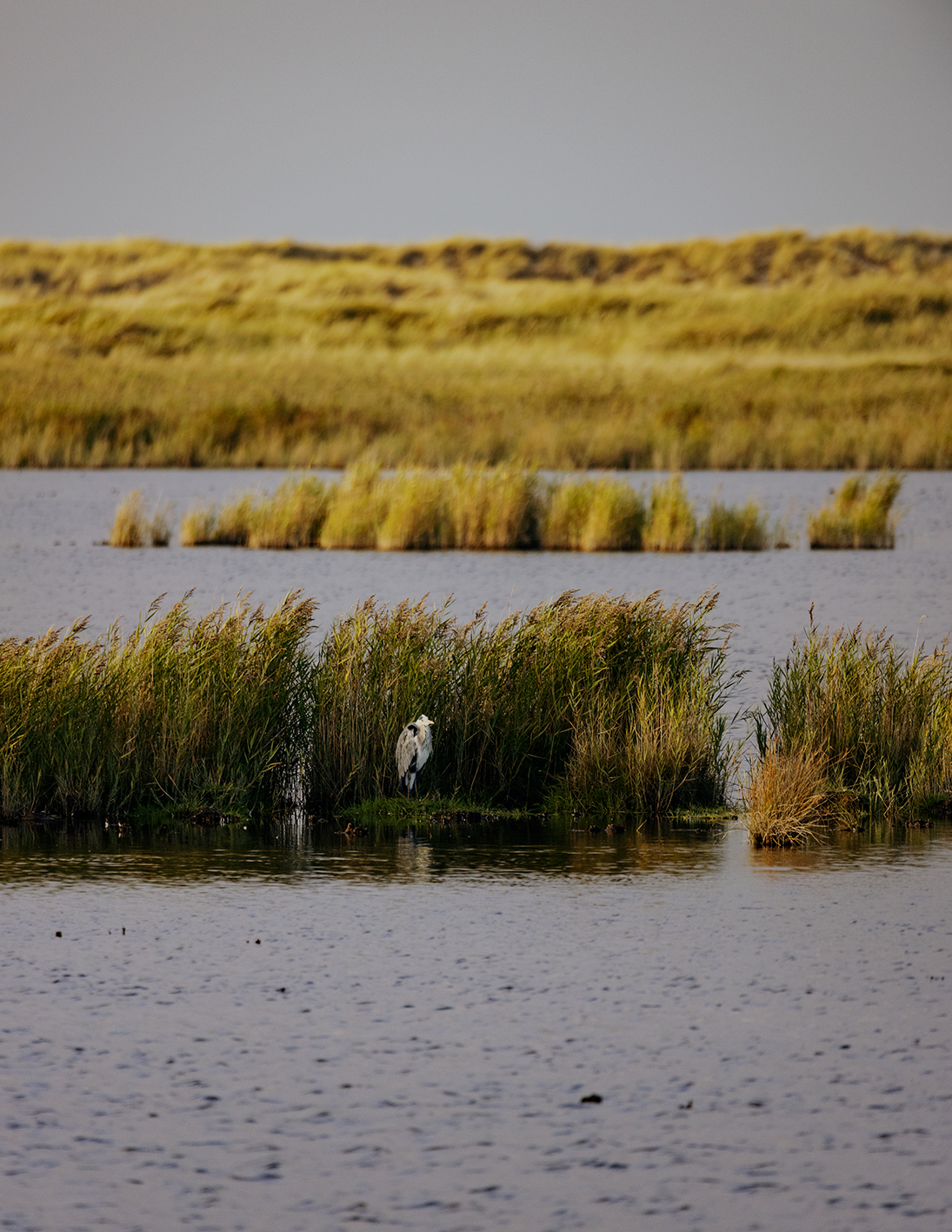 MARZENA SKUBATZ PHOTOGRAPHY