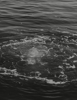 MARZENA SKUBATZ PHOTOGRAPHY