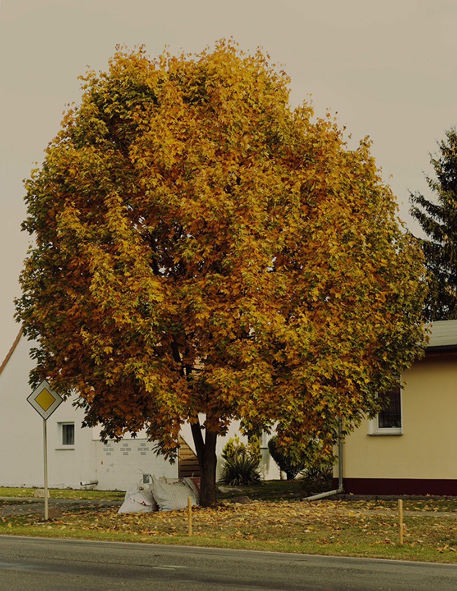 MARZENA SKUBATZ PHOTOGRAPHY