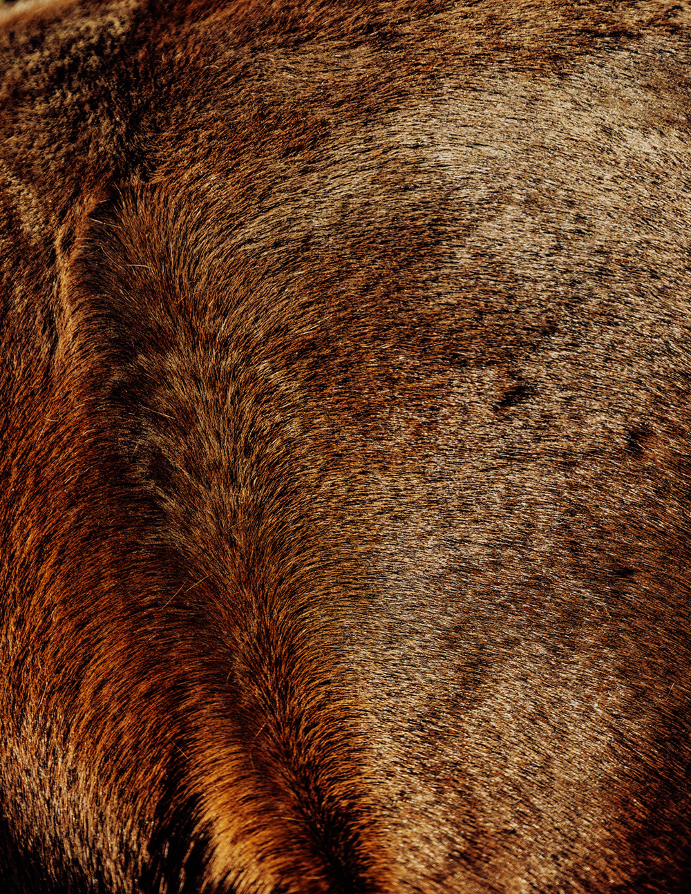 MARZENA SKUBATZ PHOTOGRAPHY