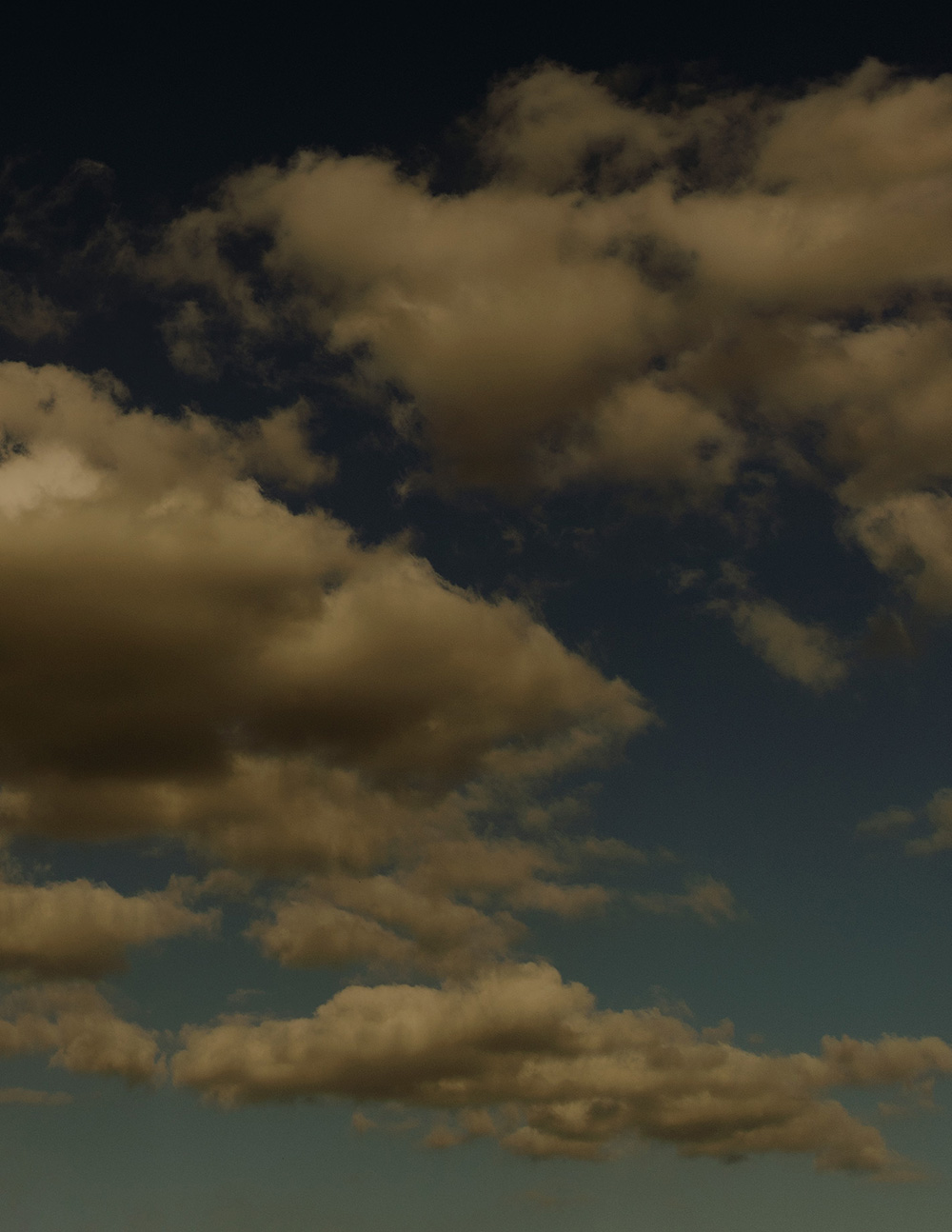 MARZENA SKUBATZ PHOTOGRAPHY