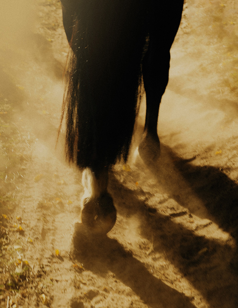 MARZENA SKUBATZ PHOTOGRAPHY