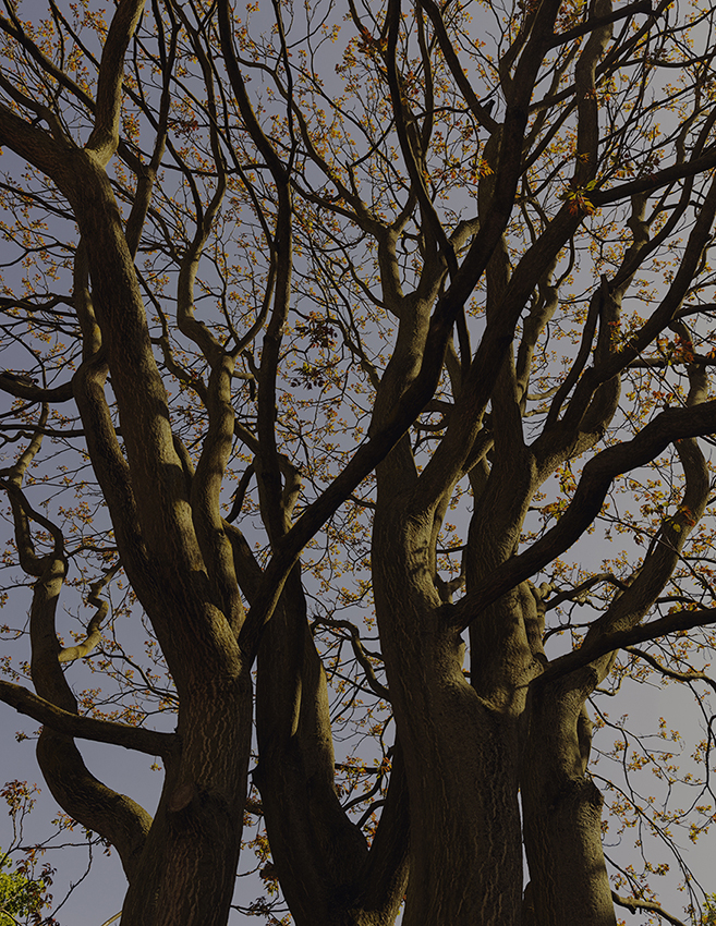 MARZENA SKUBATZ PHOTOGRAPHY