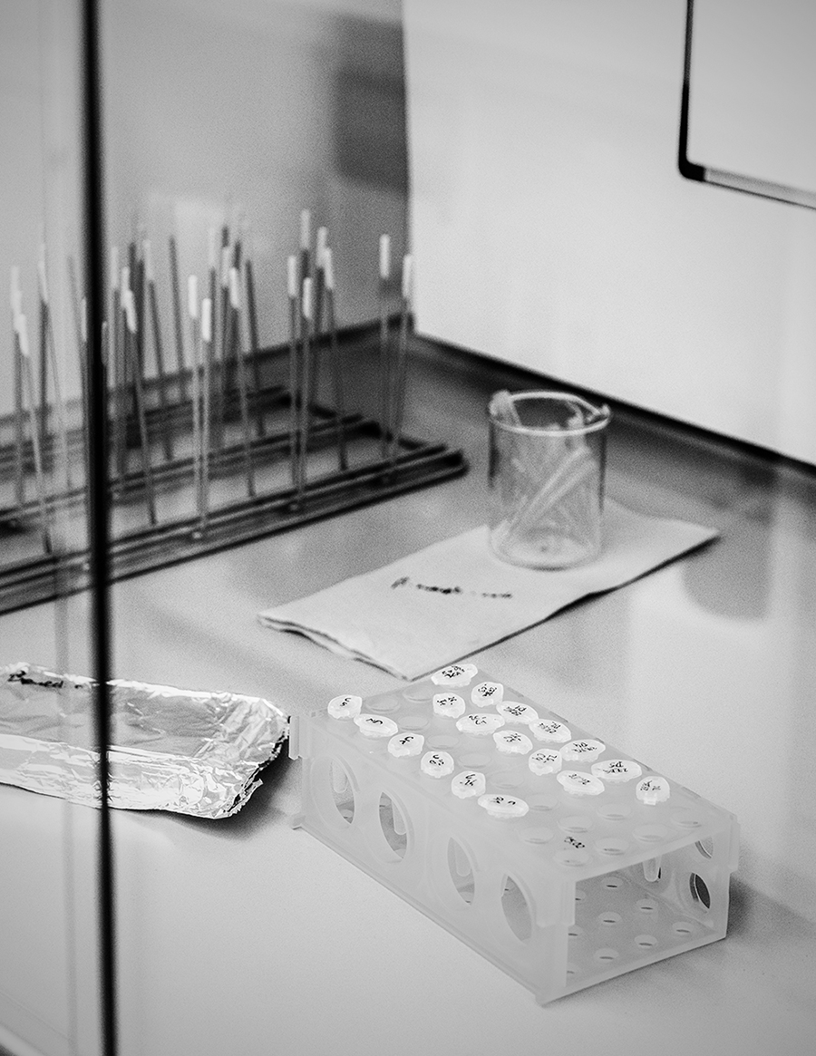 MARZENA SKUBATZ PHOTOGRAPHY