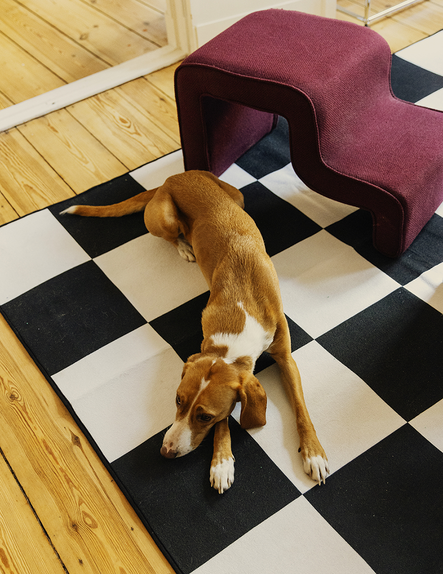 MARZENA SKUBATZ PHOTOGRAPHY