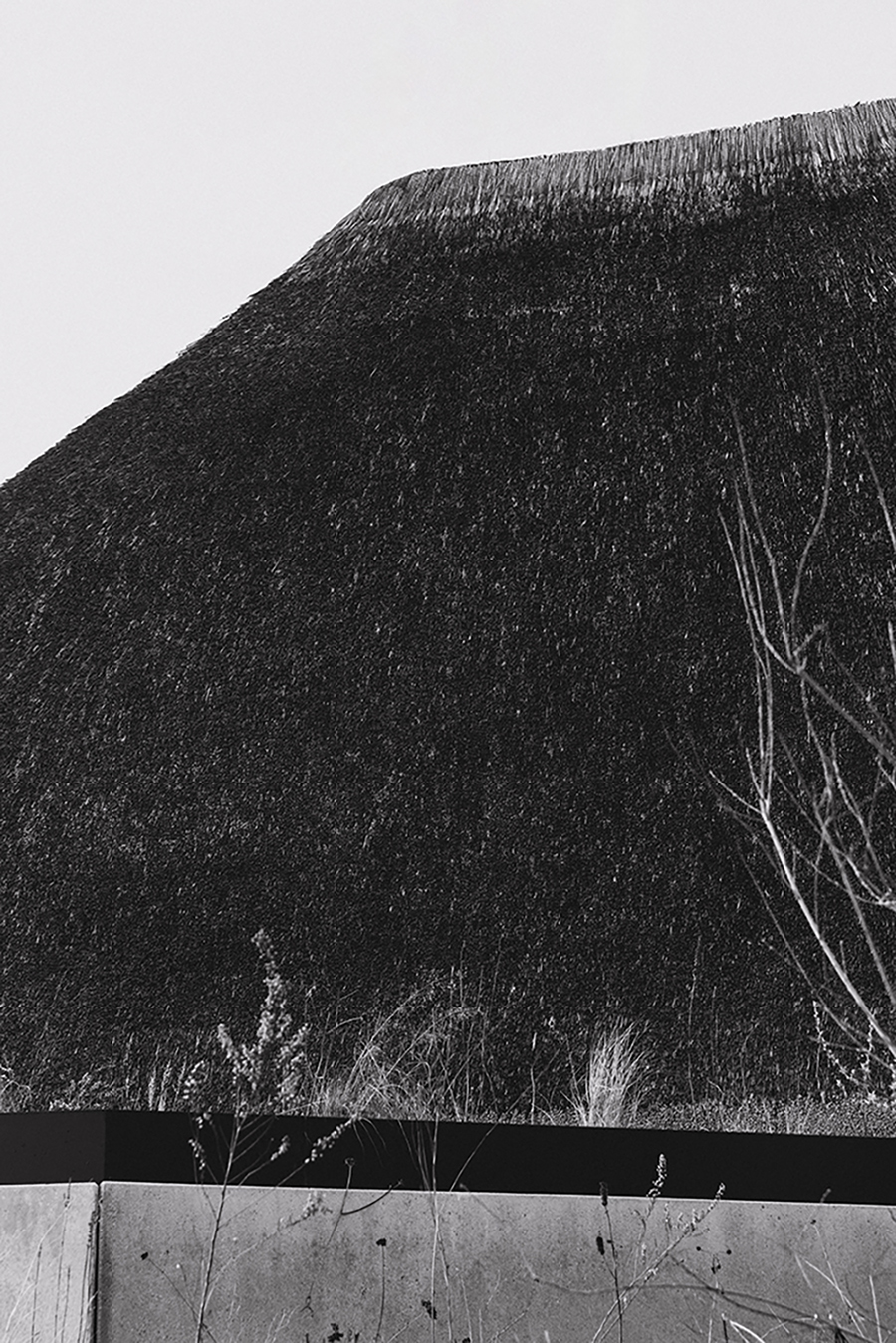 MARZENA SKUBATZ PHOTOGRAPHY