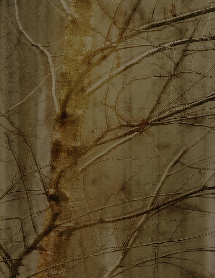 MARZENA SKUBATZ PHOTOGRAPHY